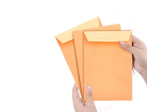 Envelope liderpapel n.0 salarios cana 100x150mm sem janela pack de 1000 unidades , Liderpapel , 31932 , 8423473319325